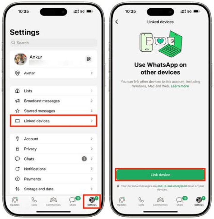 How to Fix GIF Not Working On Whatsapp iPhone? - SarkariResult