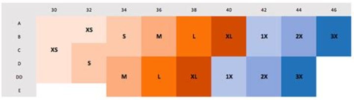 Nasim Pedrad Height, Weight, Measurements, Bra Size, Shoe Size